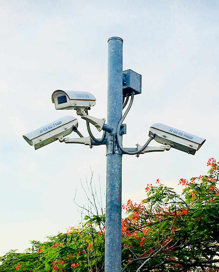 cameras